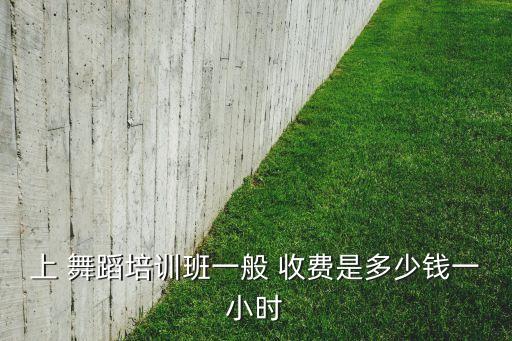 舞蹈小课收费标准,舞蹈小课报名开放报名