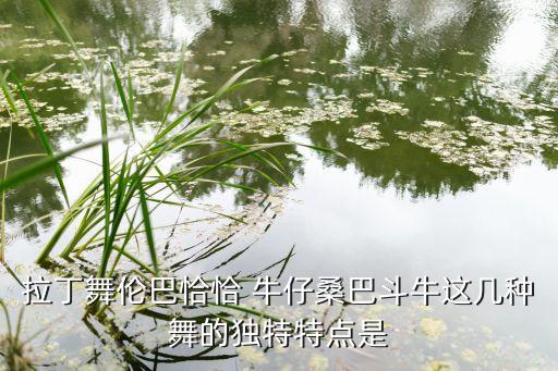 拉丁舞伦巴恰恰 牛仔桑巴斗牛这几种舞的独特特点是