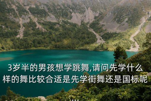 3岁半的男孩想学跳舞,请问先学什么样的舞比较合适是先学街舞还是国标呢...