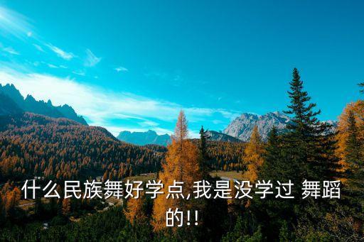 什么民族舞好学点,我是没学过 舞蹈的!!