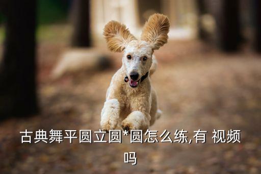 古典舞平圆立圆*圆怎么练,有 视频吗
