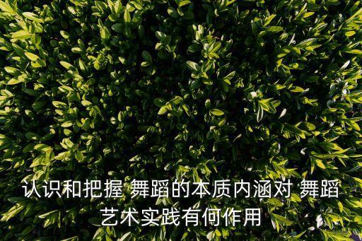 认识和把握 舞蹈的本质内涵对 舞蹈艺术实践有何作用