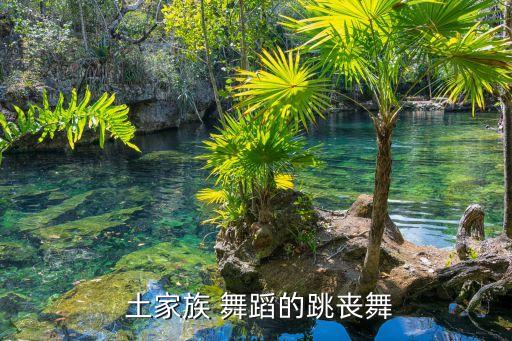  土家族 舞蹈的跳丧舞