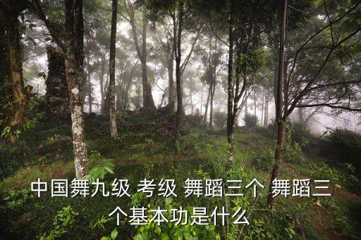 五级考级舞蹈双手位,中国舞蹈考级:7级主要考蹲、擦地板踢腿