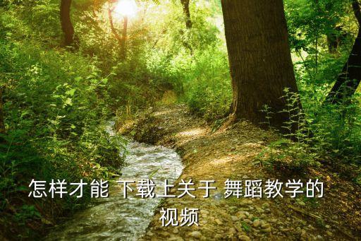 适合一二年级学的舞蹈视频下载,这些舞蹈教学视频!