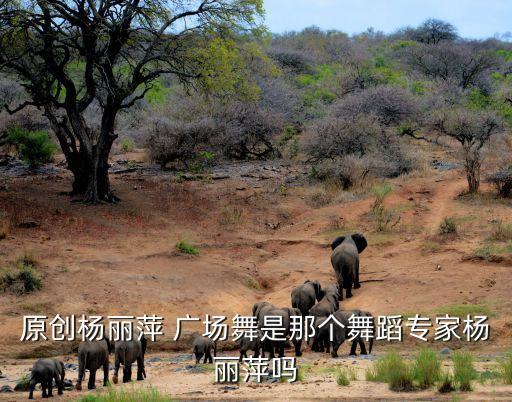 广场舞蹈家,内黄美人王广成健身教练