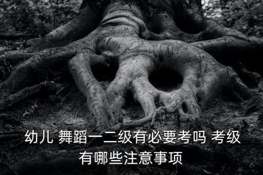 幼儿舞蹈考级一级内容,中国舞蹈考级比较正规的有北京舞蹈学院