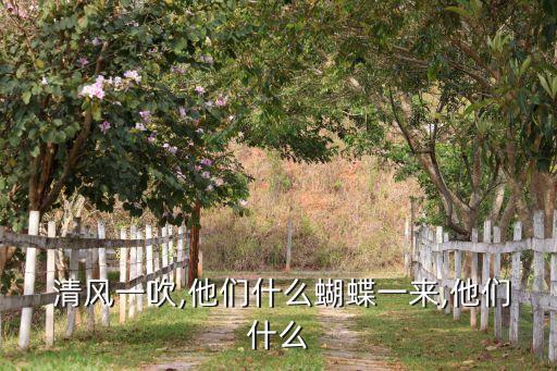 舞蹈 清风视频,第二集:清风吹醒我们心灵