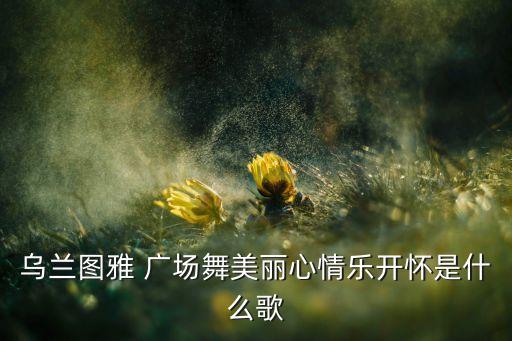 乌兰图雅 广场舞美丽心情乐开怀是什么歌