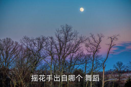 摇花手出自哪个 舞蹈