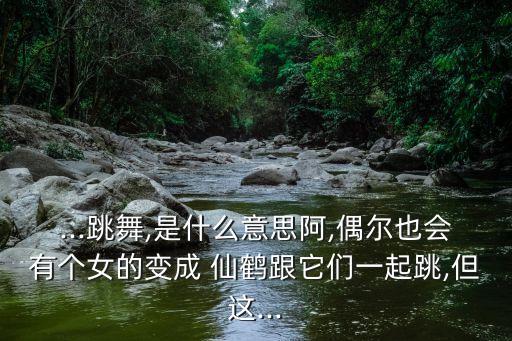 ...跳舞,是什么意思阿,偶尔也会有个女的变成 仙鹤跟它们一起跳,但这...