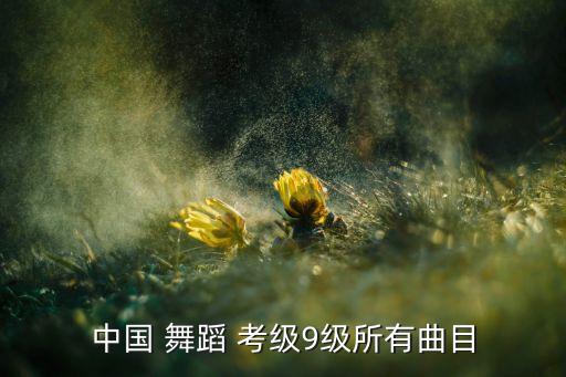 舞蹈考级三字经音乐,舞蹈专辑