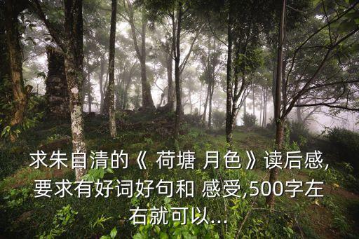 舞蹈荷塘月色的感受,荷塘月色第二集:荷花荷叶