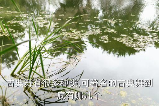 古典舞有很多种类,可著名的古典舞到底有哪几个
