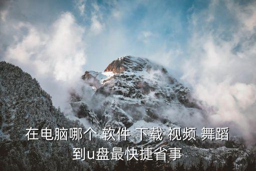 在电脑哪个 软件 下载 视频 舞蹈到u盘最快捷省事