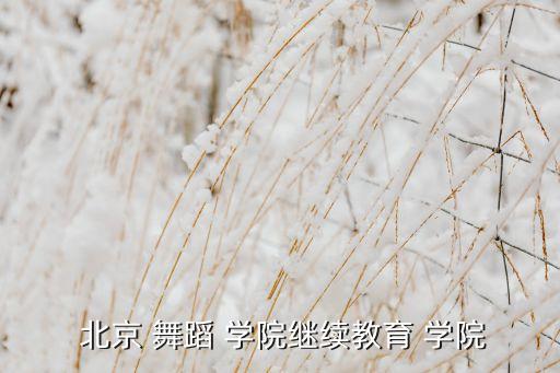  北京 舞蹈 学院继续教育 学院