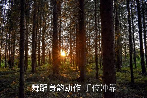 手位舞蹈视频,本届大选提名日