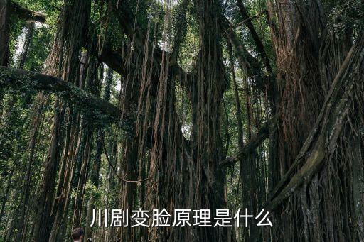 粉末舞蹈演出,化妆品擦脸也能变脸?