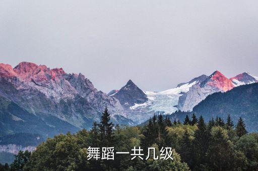  舞蹈一共几级