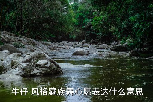 牛仔舞蹈风格,牛仔舞者手脚放松自由舞蹈