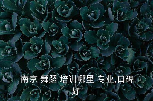  南京 舞蹈 培训哪里 专业,口碑好