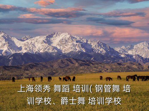 上海领秀 舞蹈 培训( 钢管舞 培训学校、爵士舞 培训学校