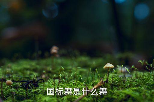 国标舞是什么舞