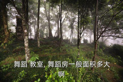 中国舞蹈教室,少儿中国舞教室多适合孩子舞蹈教室最少50平米