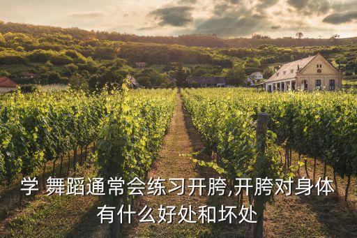 学 舞蹈通常会练习开胯,开胯对身体有什么好处和坏处