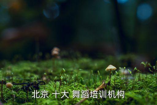 十大优秀舞蹈学院,舞蹈学校开设与艺术相关课程
