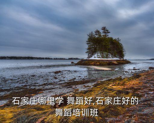 石家庄哪里学 舞蹈好,石家庄好的 舞蹈培训班