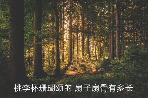 扇子舞蹈中国美,中国民间舞蹈扇舞脱离巫术成为舞台艺术舞蹈