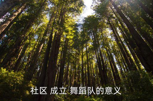 社区 成立 舞蹈队的意义