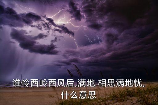 谁怜西岭西风后,满地 相思满地忧,什么意思