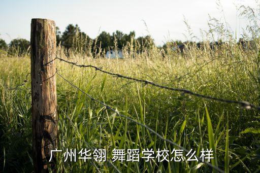 广州舞蹈培训 肖肖,广州华华舞蹈学校肚皮舞专业培训机构