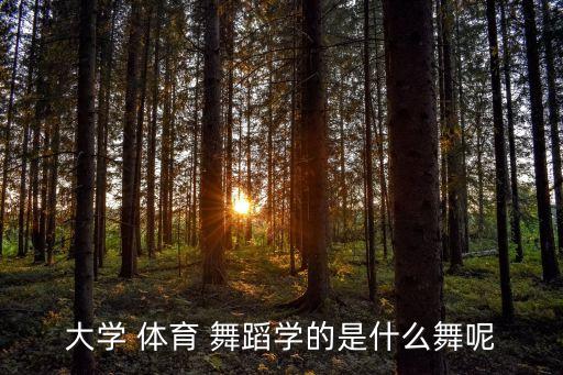 体育舞蹈教学内容,体育舞蹈是一种跨文化的融合