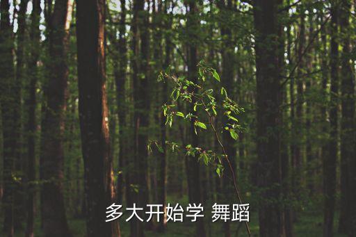 多大开始学 舞蹈