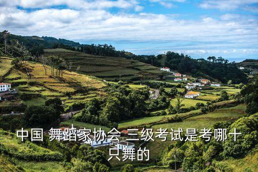 中国 舞蹈家协会 三级考试是考哪十只舞的