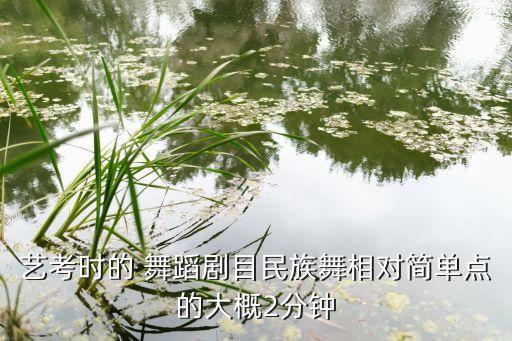 艺考时的 舞蹈剧目民族舞相对简单点的大概2分钟