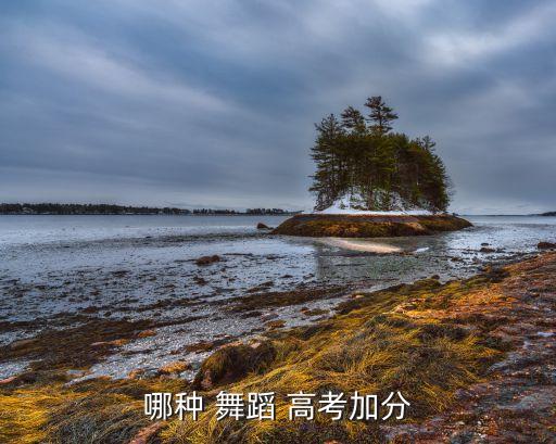 高考特长生舞蹈评分标准,中国高考舞蹈没有计划外加分