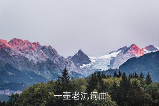 舞蹈教学视频一壶老酒,一壶老酒原唱陆树铭主打励志歌曲
