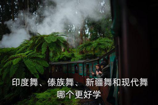  印度舞、傣族舞、 新疆舞和现代舞哪个更好学
