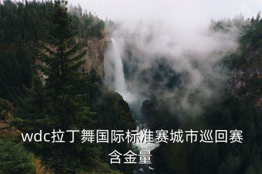  wdc拉丁舞国际标准赛城市巡回赛含金量