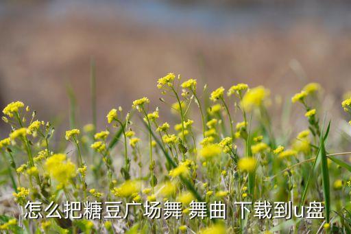 怎么把糖豆广场舞 舞曲 下载到u盘