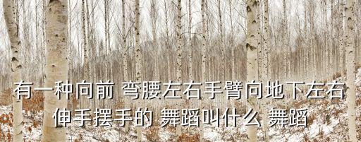 有一种向前 弯腰左右手臂向地下左右伸手摆手的 舞蹈叫什么 舞蹈