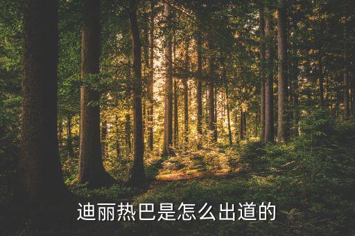 迪丽热巴是怎么出道的