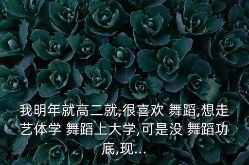 我明年就高二就,很喜欢 舞蹈,想走艺体学 舞蹈上大学,可是没 舞蹈功底,现...
