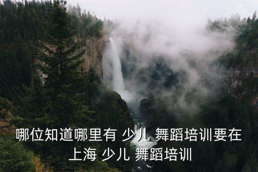哪位知道哪里有 少儿 舞蹈培训要在 上海 少儿 舞蹈培训