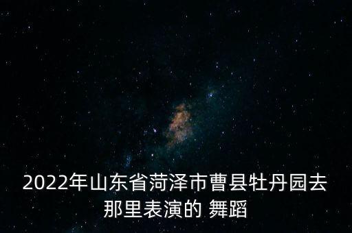 舞蹈汇报演出的通知,从舞蹈中体验生活乐园
