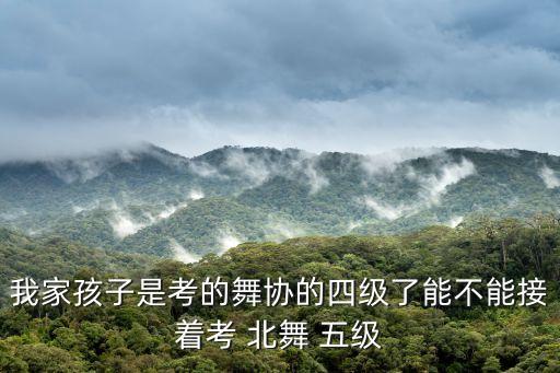 北舞五级舞蹈考试视频,想走专业发展道路北京舞协不能相提并论